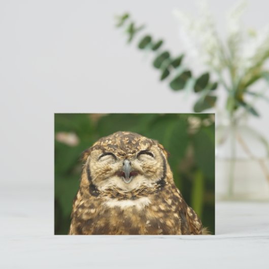 Eule lächelt! :) postkarte (Stehend Vorderseite)
