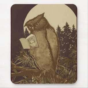 Eule liest bei Mondlicht Mousepad