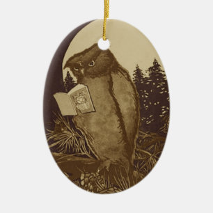 Eule liest ein Buch bei Mondlicht Keramik Ornament