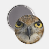 Eule Magnet (Vorderseite/Rückseite)