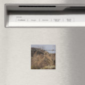 Eule Magnet (In Situ (Geschirrspüler))