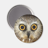 Eule Magnet (Vorderseite/Rückseite)