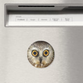 Eule Magnet (In Situ (Geschirrspüler))