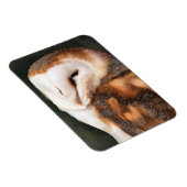 EULE MAGNET (Rechte Seite)