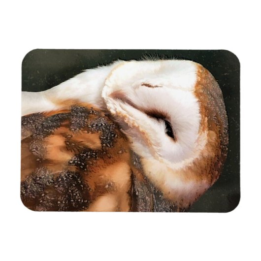 EULE MAGNET (Horizontal)