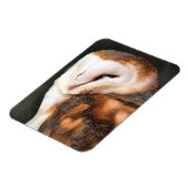 EULE MAGNET (Linke Seite)