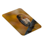 Eule Magnet (Rechte Seite)