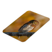 Eule Magnet (Linke Seite)