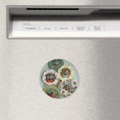 Eule-Magnet Magnet (In Situ (Geschirrspüler))