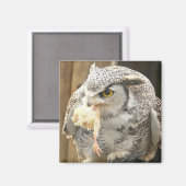 Eule mit Beute Magnet (Vorderseite/Rückseite)