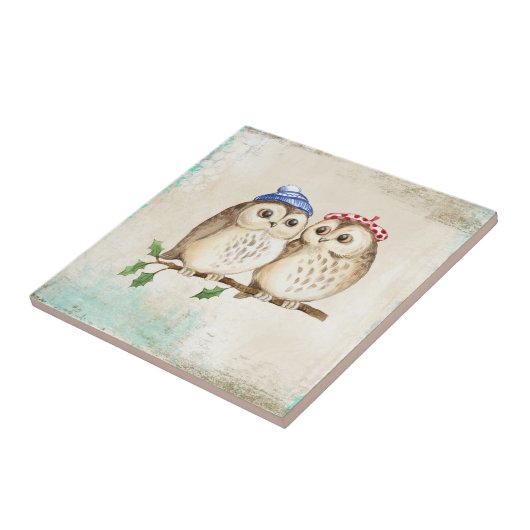 Eule mit bunten Schals auf einem Baumzweig. Fliese (Seite)