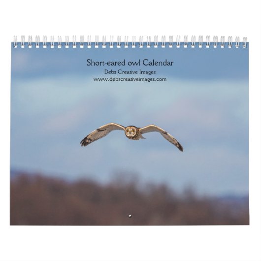 Eule mit kurzem Ohr 2026 Kalender (Titelbild)