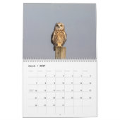 Eule mit kurzem Ohr 2026 Kalender (Mär 2027)