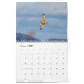 Eule mit kurzem Ohr 2026 Kalender (Jan 2027)