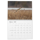 Eule mit kurzem Ohr 2026 Kalender (Feb 2027)