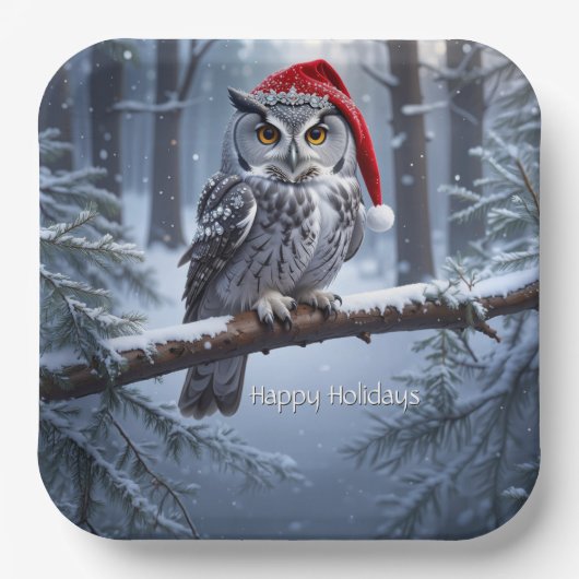 Eule mit Santa-Hut Papierplatte Pappteller (Vorderseite)