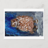 Eule mit tiefblauem Hintergrund Postkarte (Vorderseite)