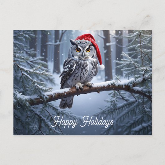 Eule mit Weihnachtsmannmütze Postkarte (Vorderseite)