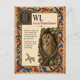 Eule, mittelalterliche Bestiarien-Kunst Postkarte