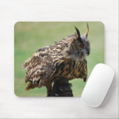 Eule Mousepad (Mit Mouse)