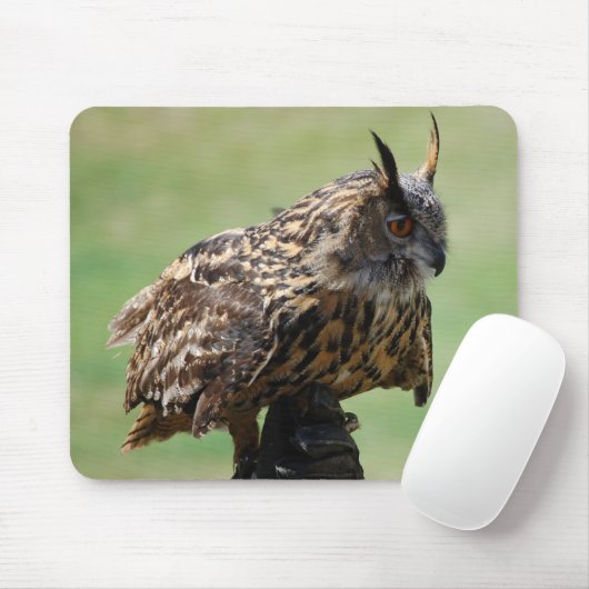 Eule Mousepad (Mit Mouse)
