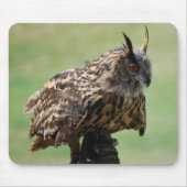 Eule Mousepad (Vorne)