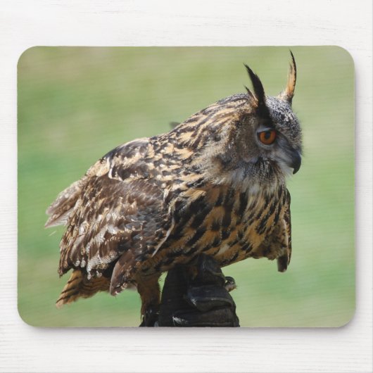 Eule Mousepad (Vorne)