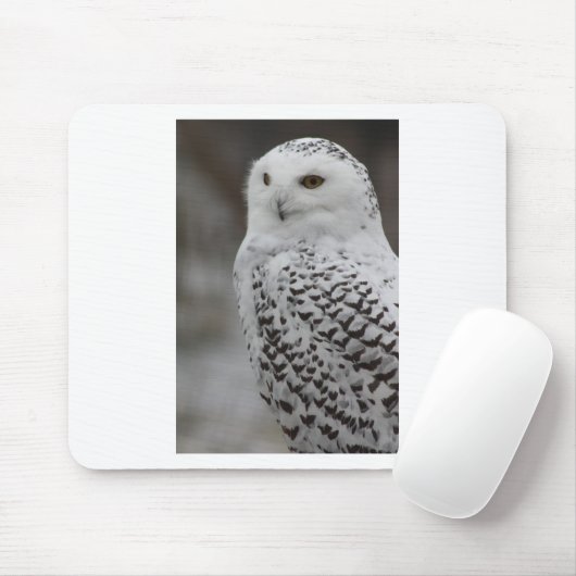 Eule Mousepad (Mit Mouse)