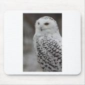 Eule Mousepad (Vorne)