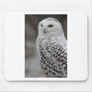 Eule Mousepad