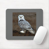 Eule Mousepad (Mit Mouse)