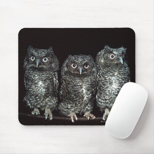 Eule Mousepad (Mit Mouse)