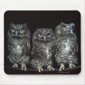 Eule Mousepad (Vorne)