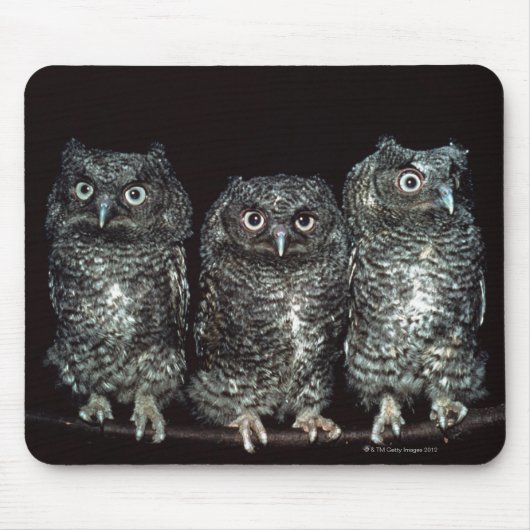 Eule Mousepad (Vorne)