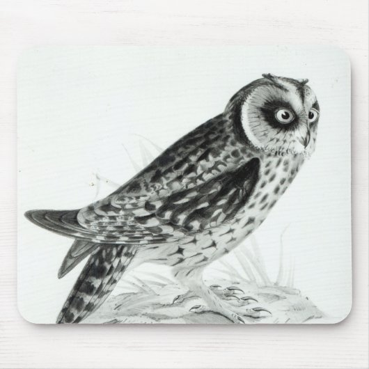 Eule Mousepad (Vorne)