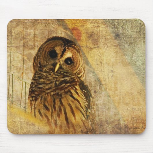 Eule Mousepad - abgehaltene Eule (Vorne)