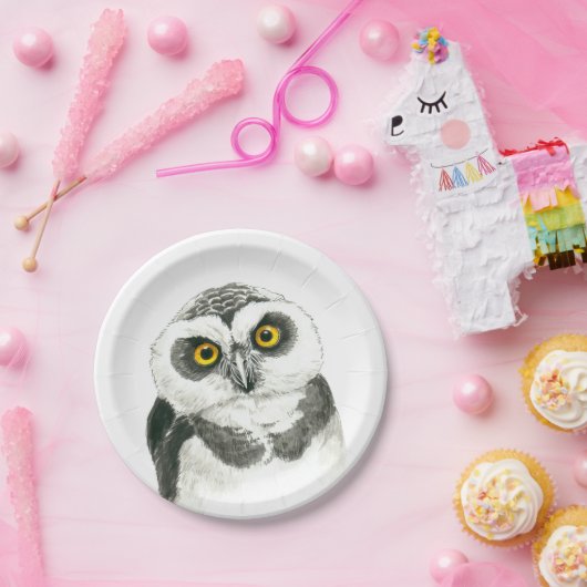 Eule Pappteller (Party)