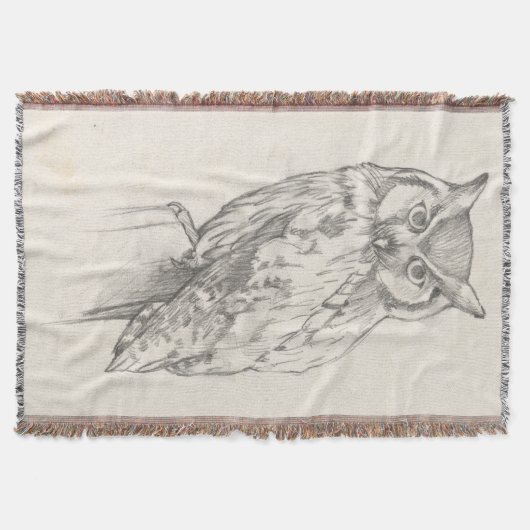 Eule-Portrait - Skizze Decke (Vorderseite)