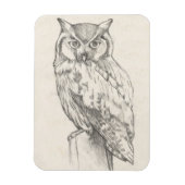 Eule-Portrait - Skizze Magnet (Vertikal)