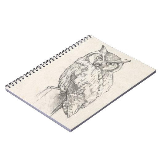 Eule-Portrait - Skizze Notizblock (Linke Seite)