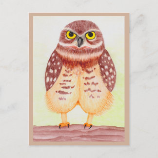 Eule Postarmut Postkarte