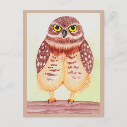 Eule Postarmut Postkarte (Vorderseite)