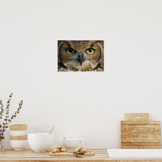 Eule Poster (Küche)