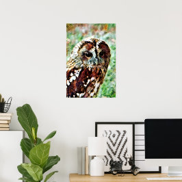 EULE POSTER