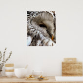 EULE POSTER (Küche)