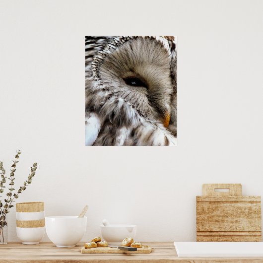 EULE POSTER (Küche)