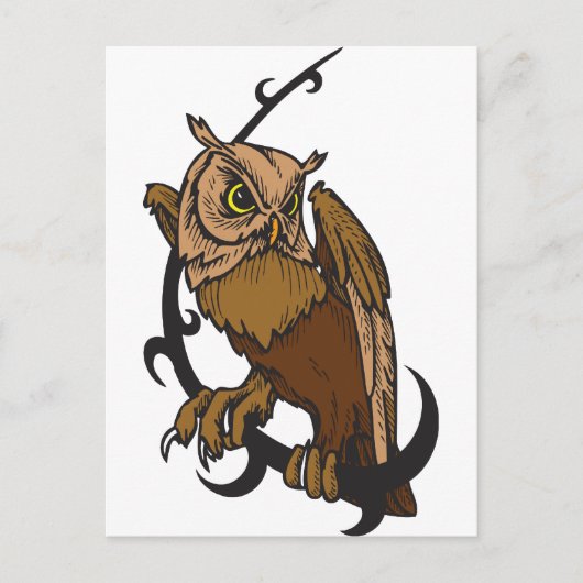 Eule Postkarte (Vorderseite)