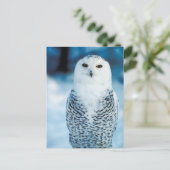 Eule Postkarte (Stehend Vorderseite)