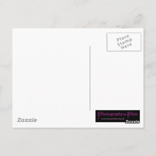 Eule Postkarte (Rückseite)