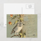 Eule Postkarte (Vorne/Hinten)